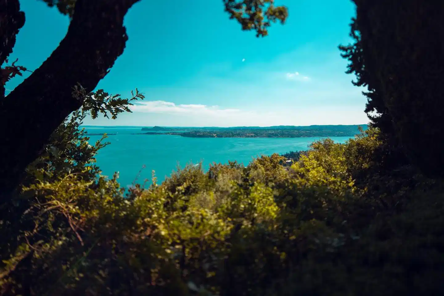 Domina Borgo degli Ulivi Landschaft