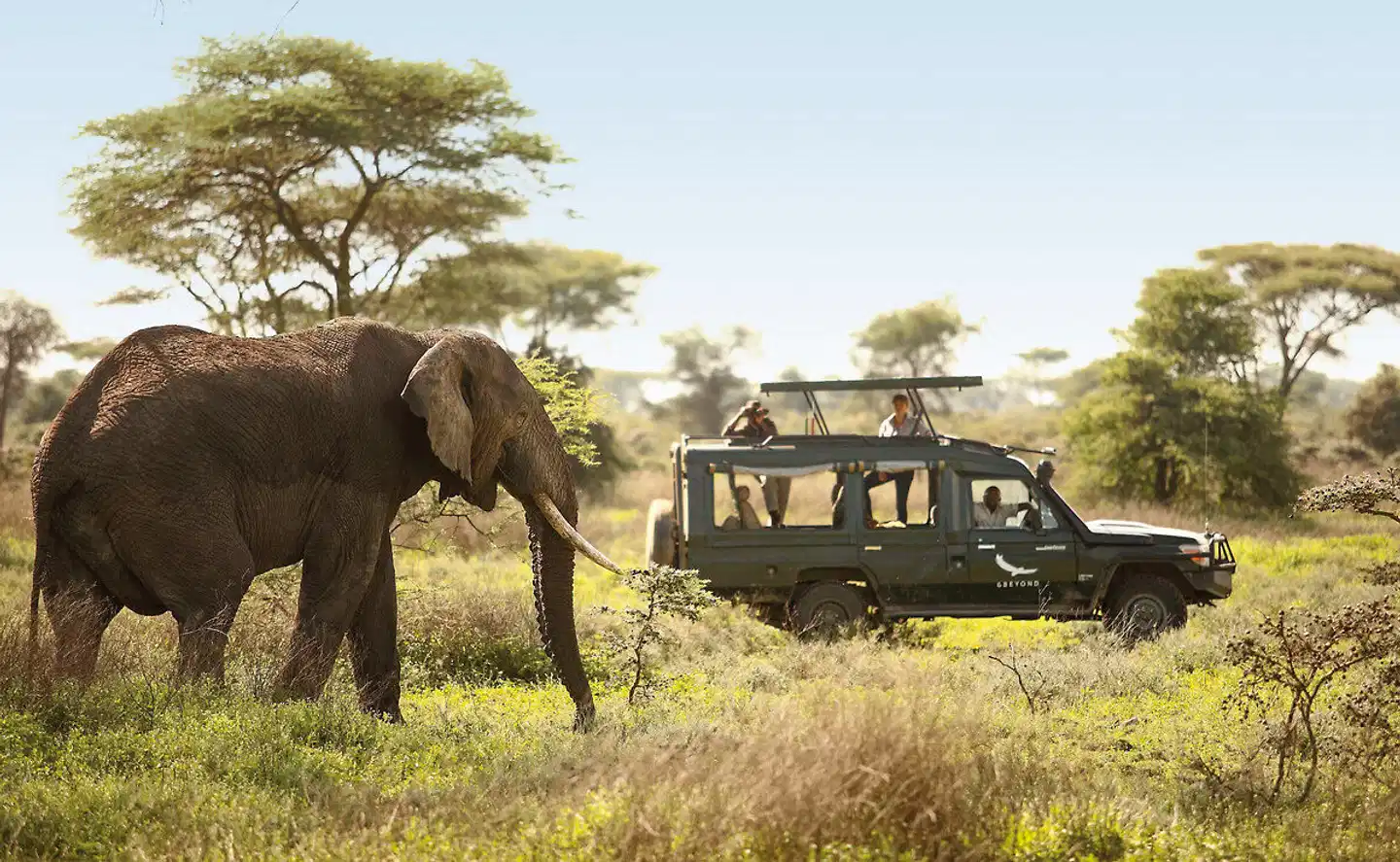 andBeyond Grumeti Serengeti River Lodge Tiere