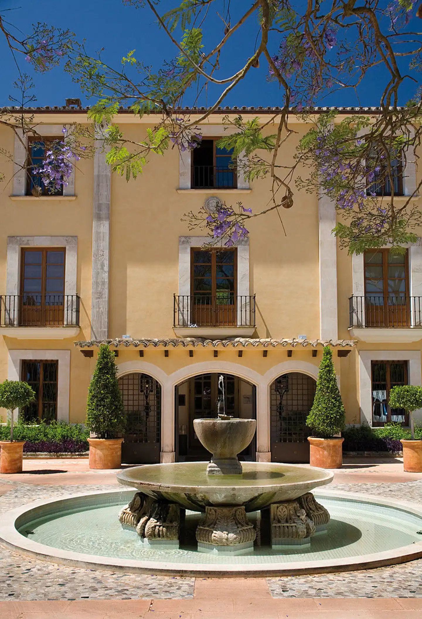 Son Julia Country House Terrasse