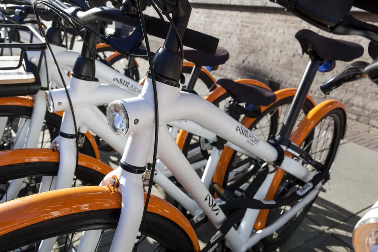 Sir Albert Sport und Entertainment