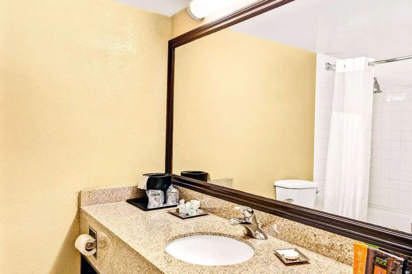 Wyndham Garden Romulus Detroit Metro Airport Badezimmer