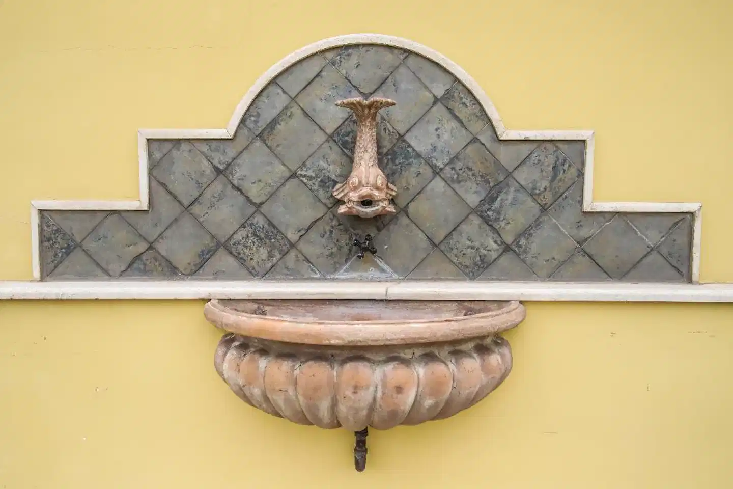 Latinum Modellaufnahme