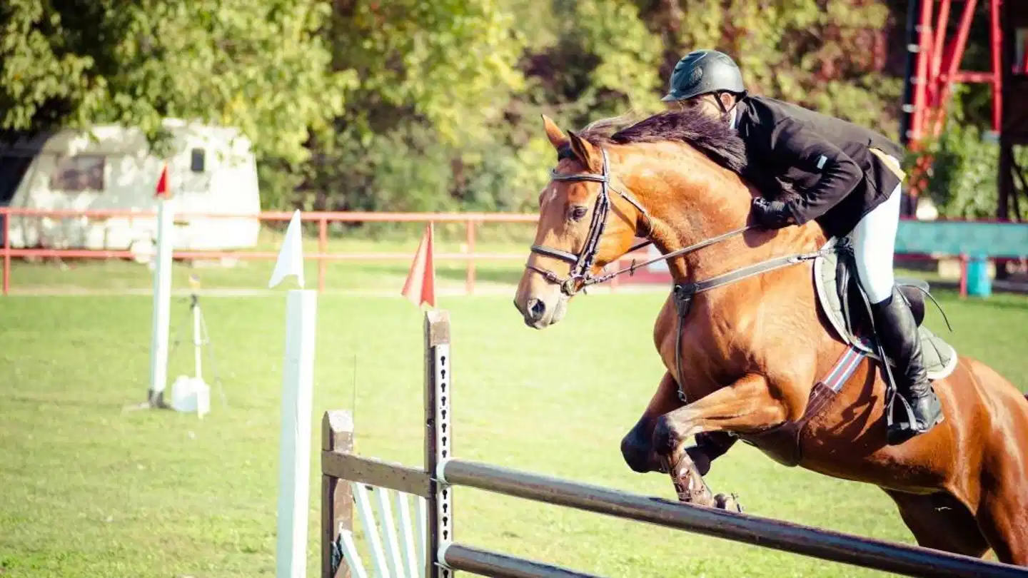 Castle Arch Sport und Entertainment