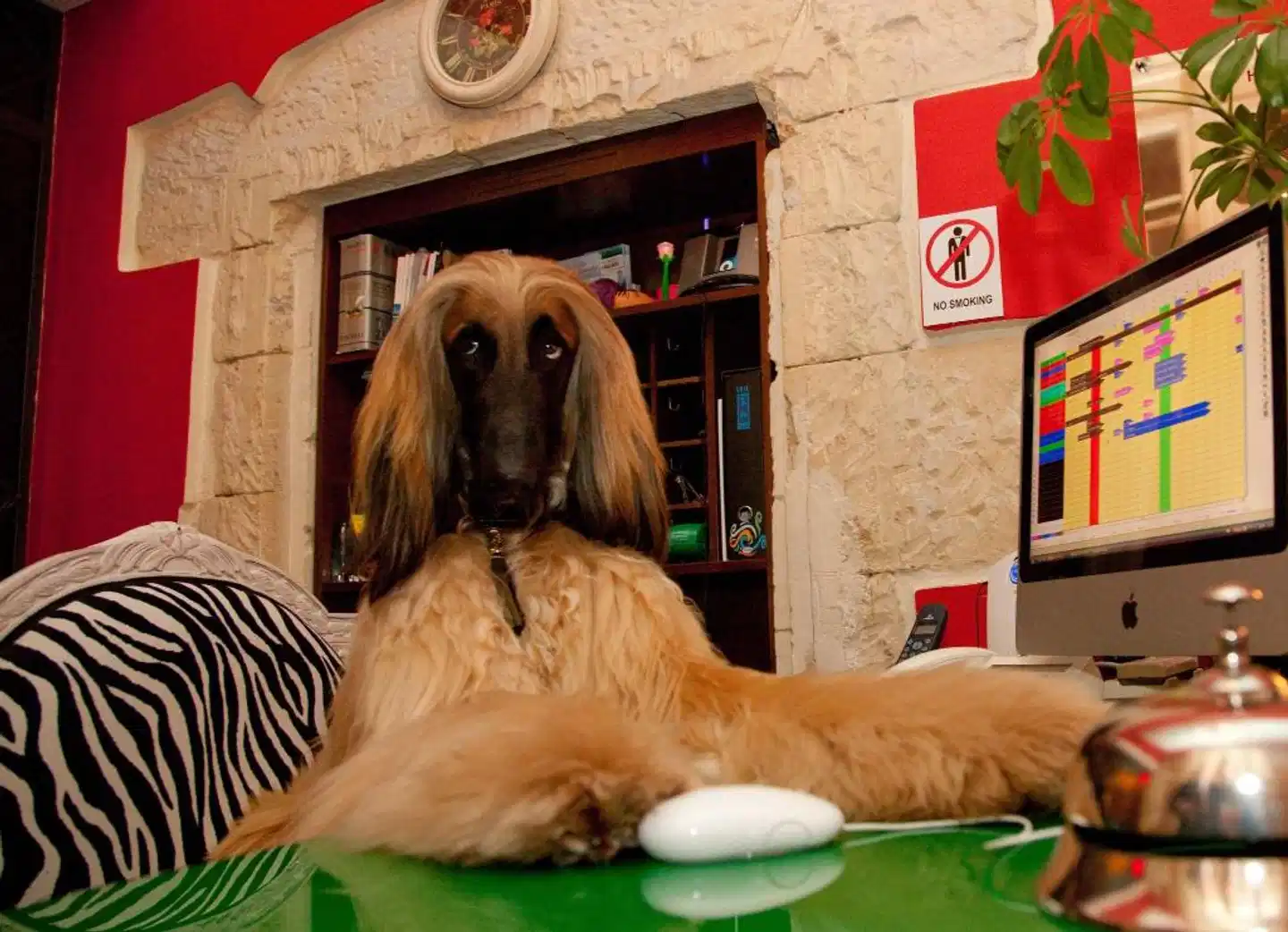 Miramare Cagliari Hotel Museo Tiere