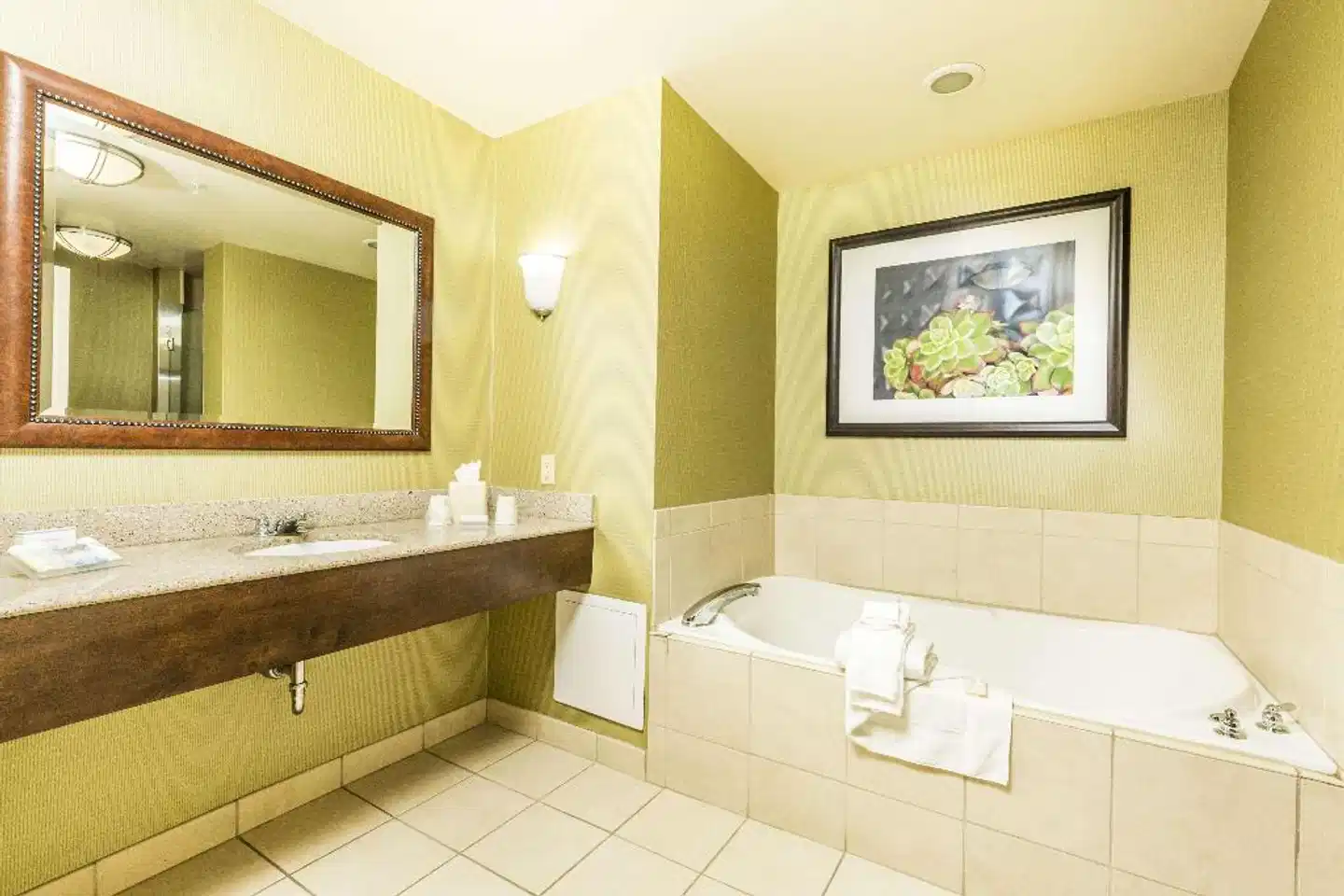 Hilton Garden Inn St. George Badezimmer