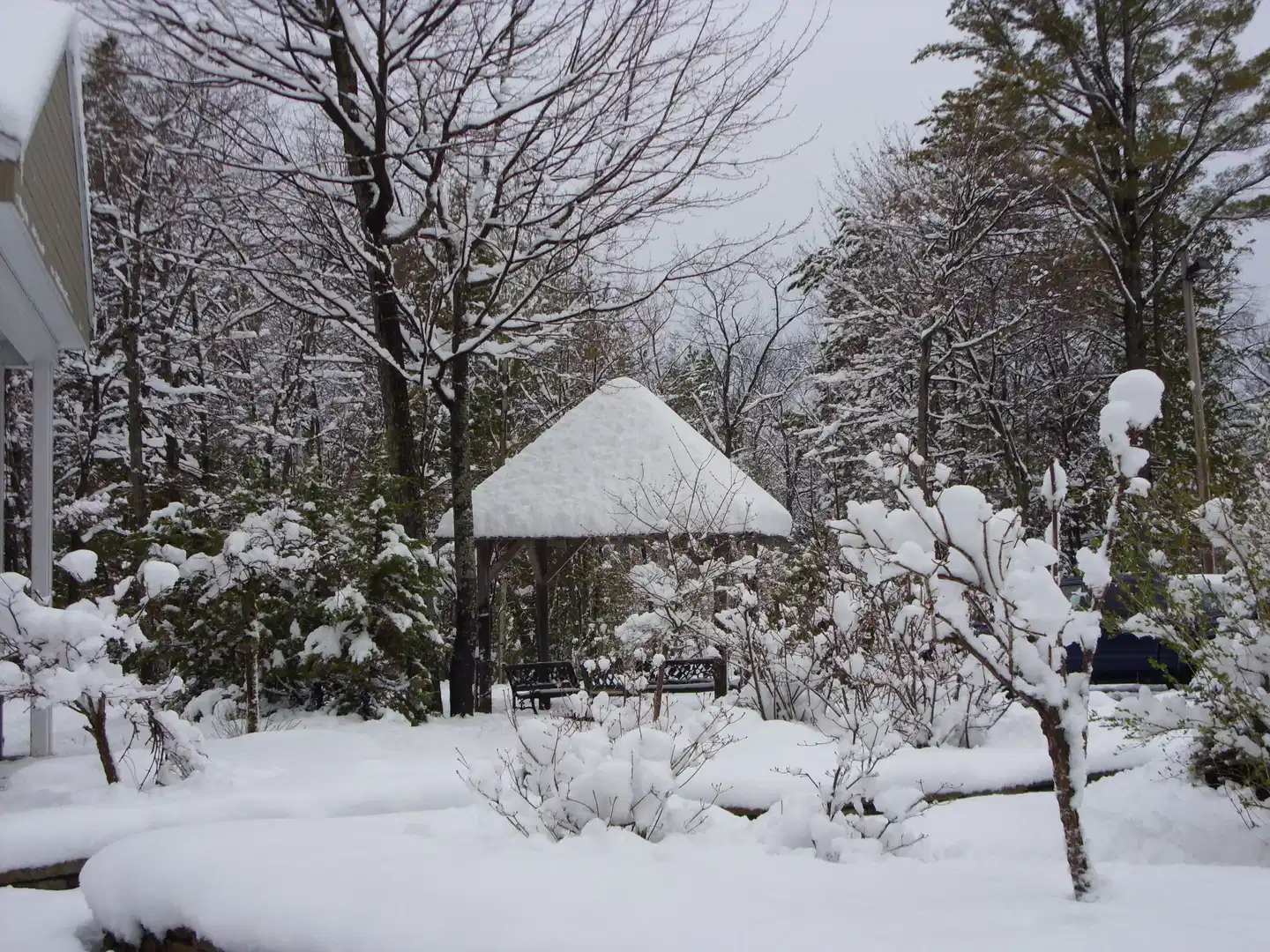 Auberge de la Montagne Coupée Tiere