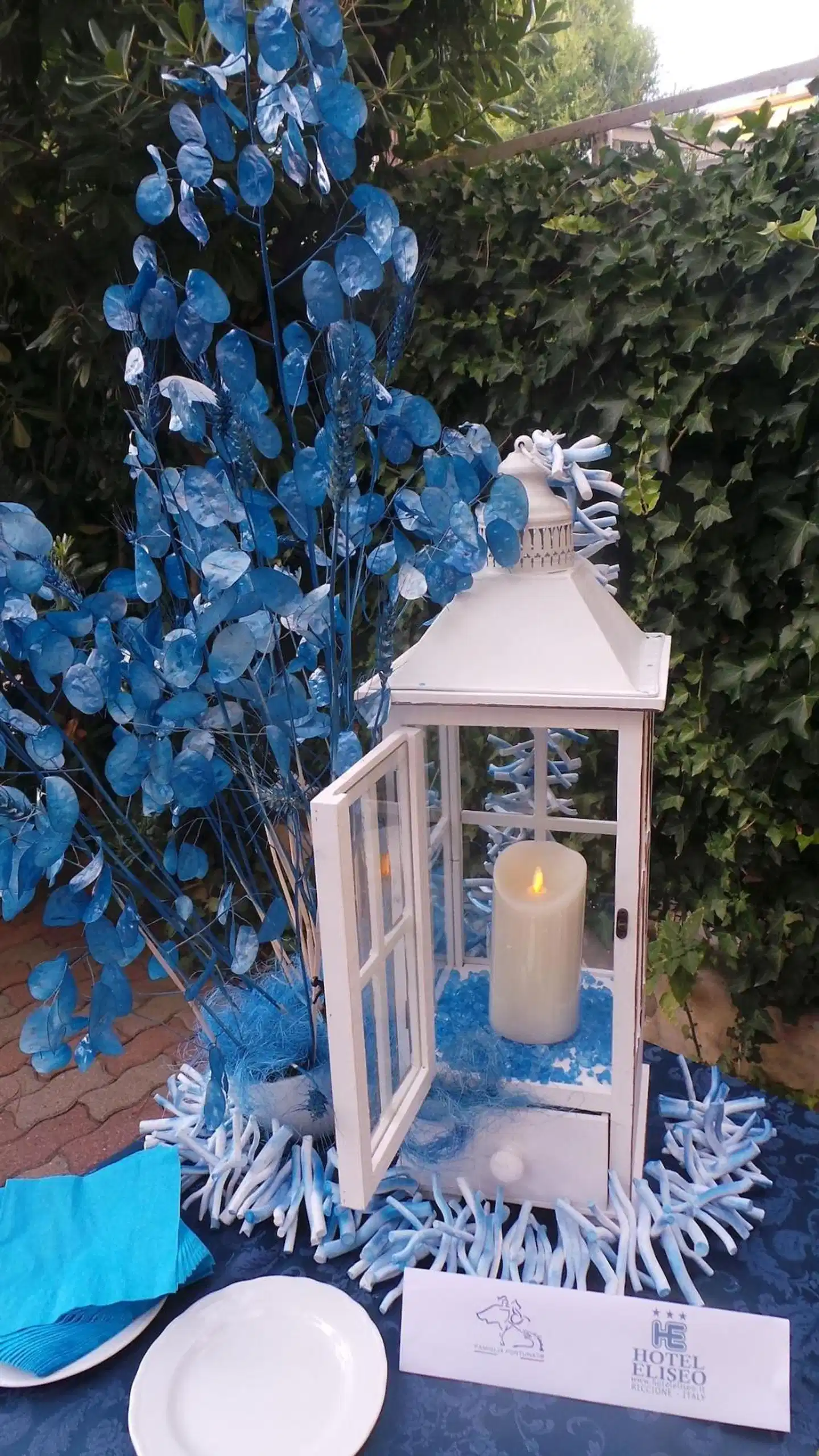 Hotel Eliseo Terrasse