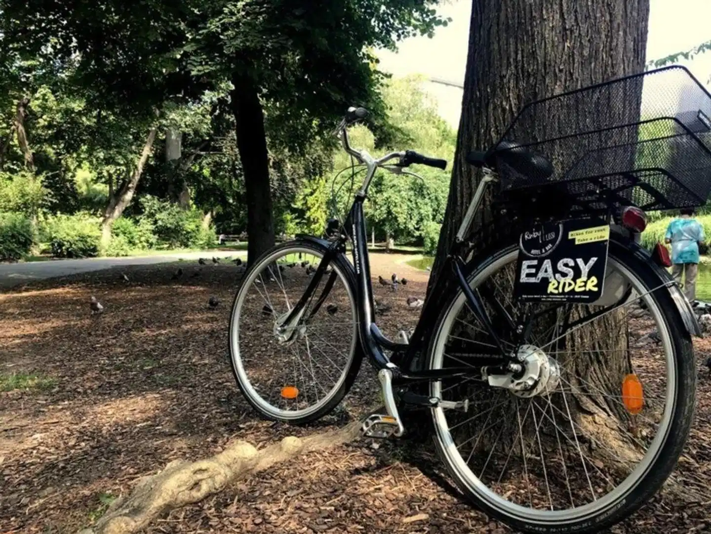 Ruby Lissi Hotel Vienna Sport und Entertainment