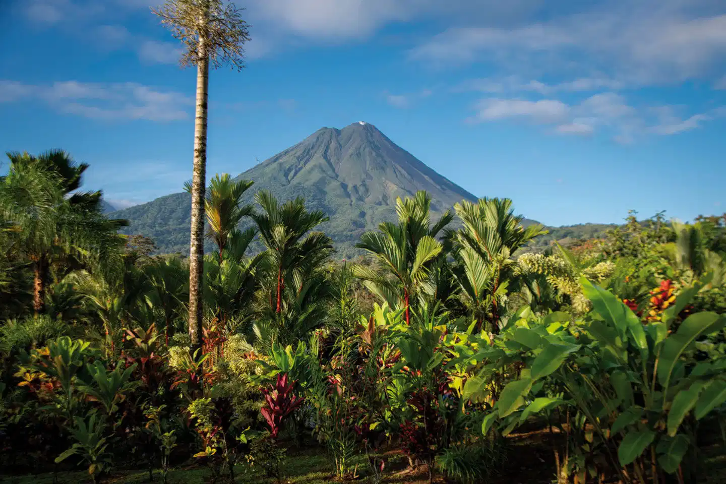 Arenal Manoa Resort & Hot Springs Landschaft