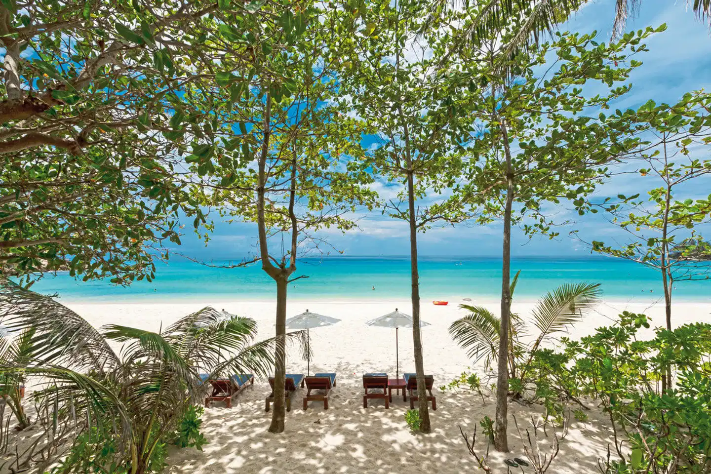 The Surin Phuket Landschaft