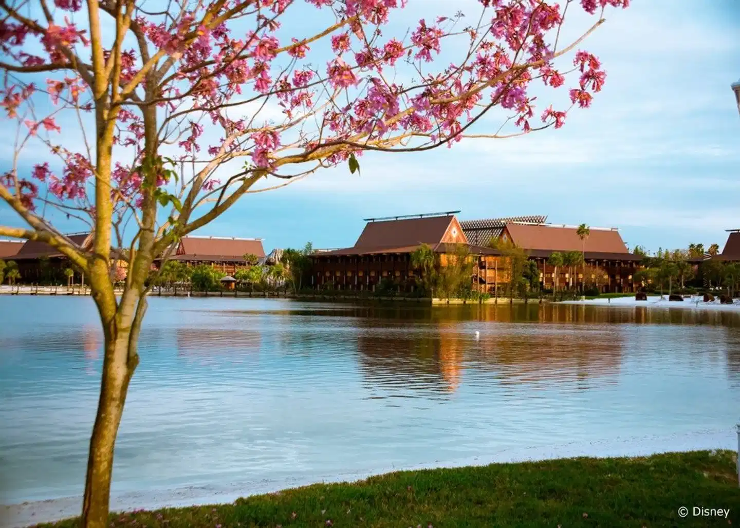 Disney's Polynesian Village Resort Landschaft