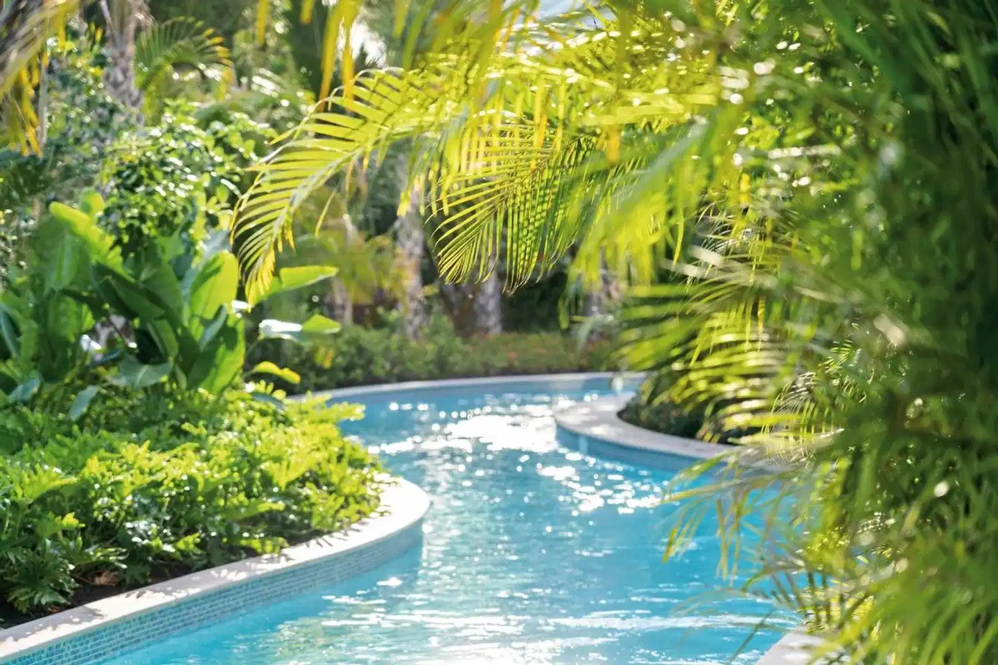 The Ritz-Carlton Naples, Tiburón Pool