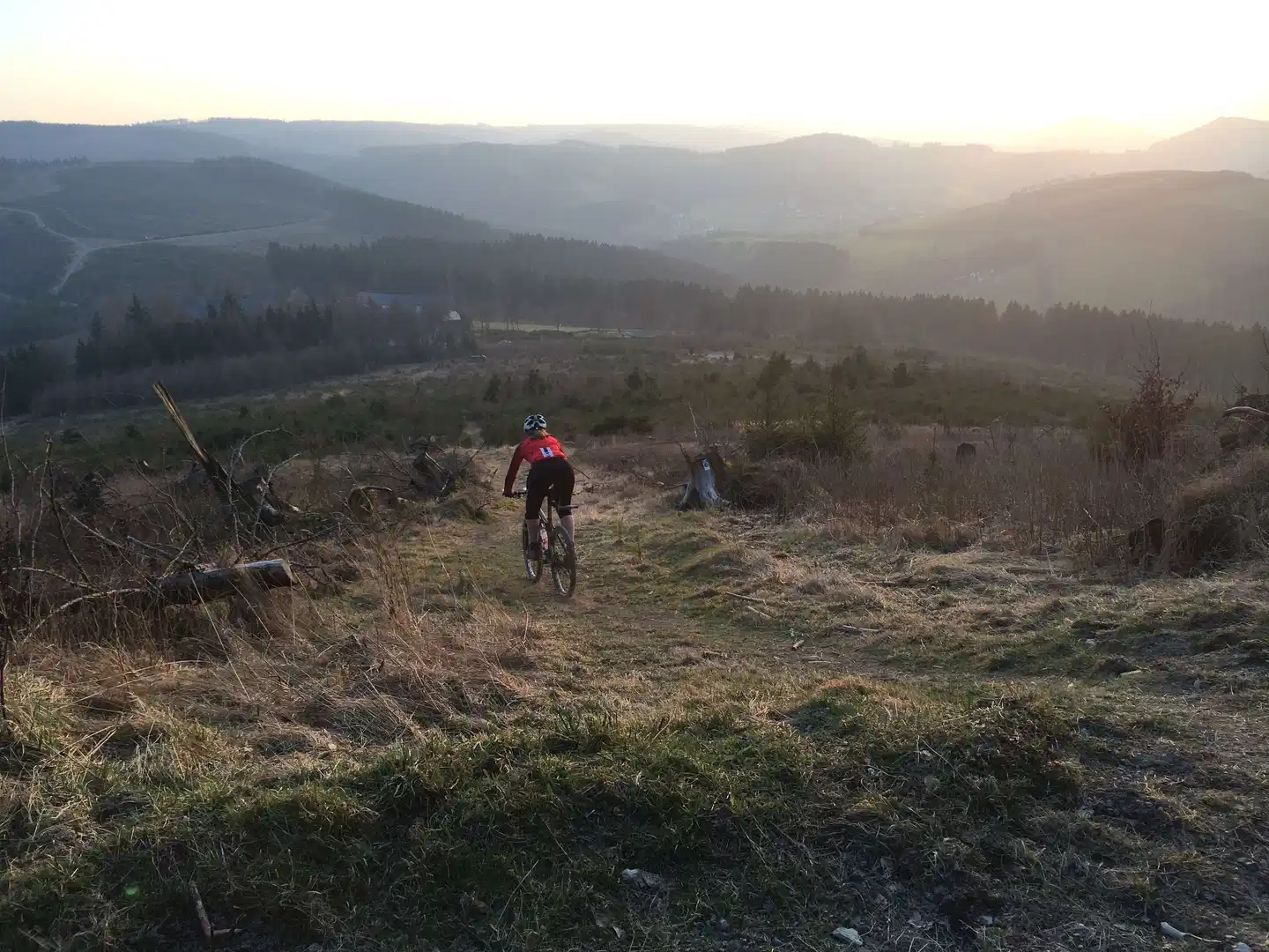 Berghotel Hoher Knochen Tiere