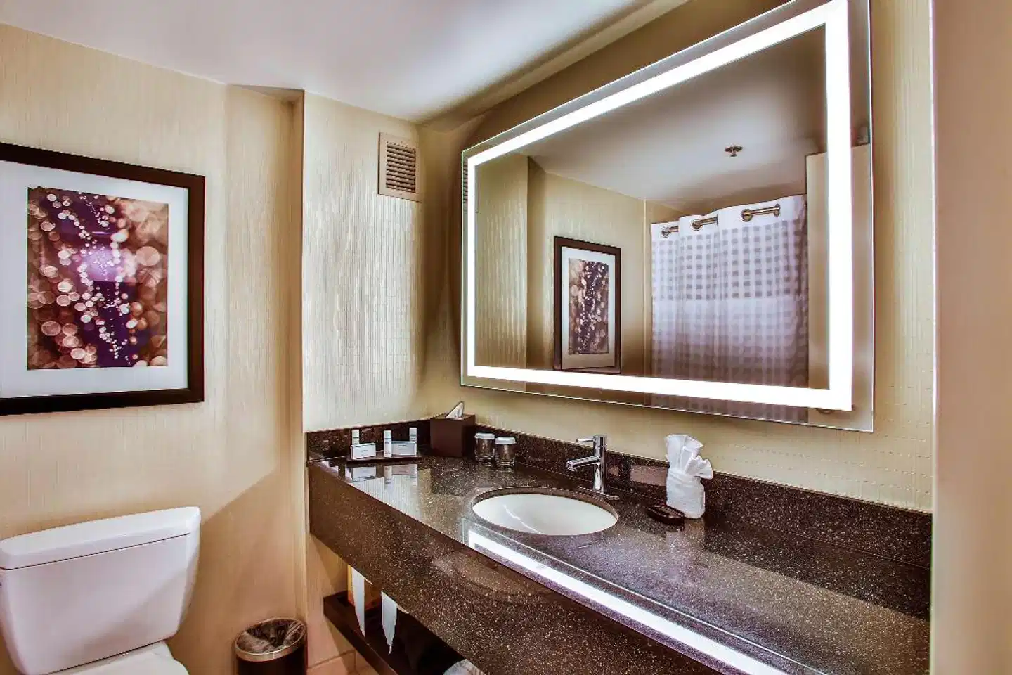 Embassy Suites by Hilton Chicago Downtown Magnificent Mile Badezimmer