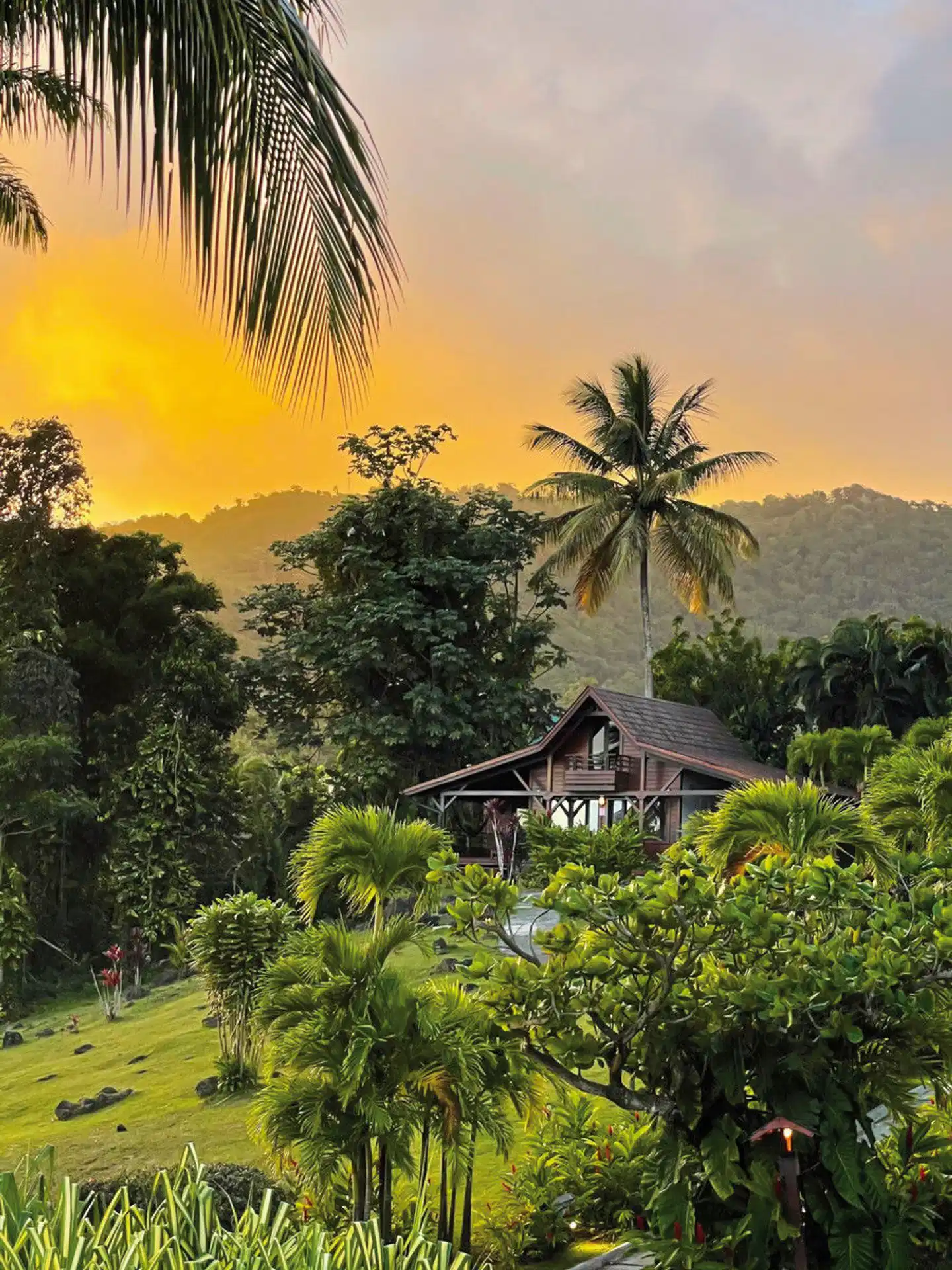 Le Jardin Malanga Garten