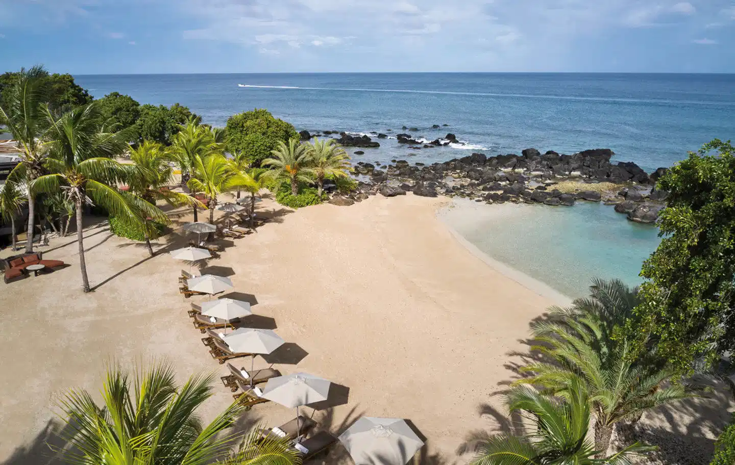 The Westin Turtle Bay Resort & Spa, Mauritius Tiere