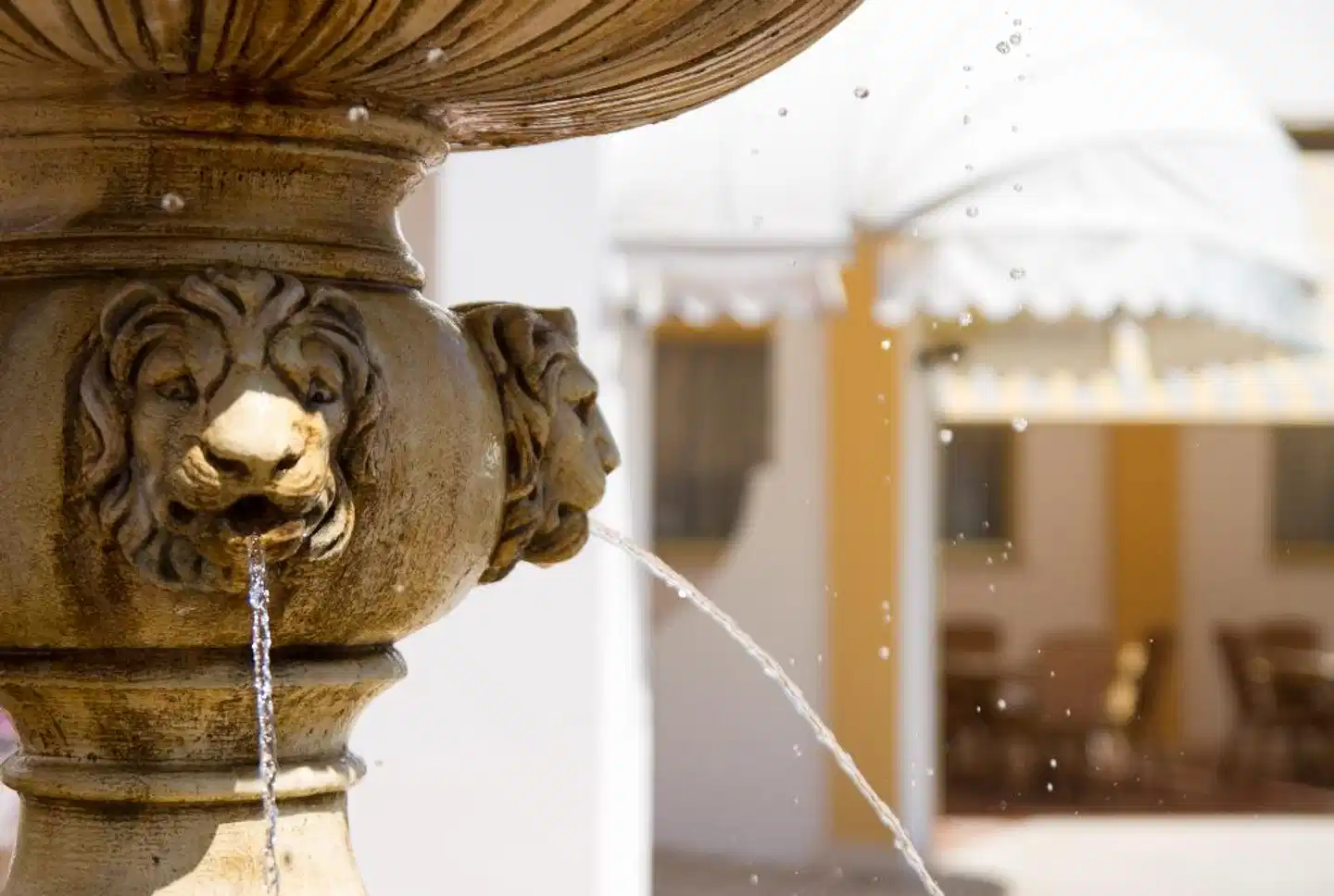 Grand Hotel Dei Cesari Tiere