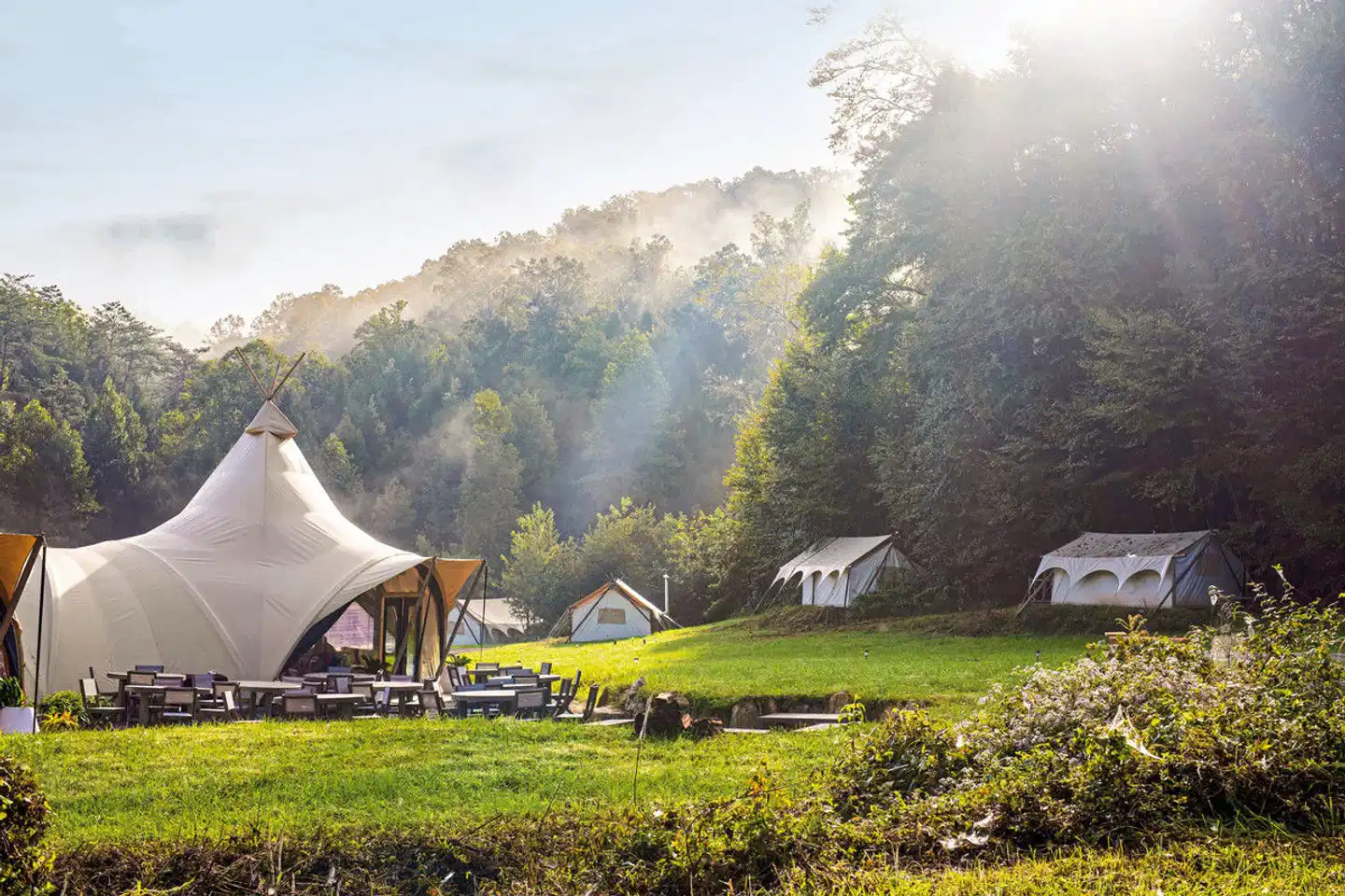 Under Canvas Great Smoky Mountains Tiere