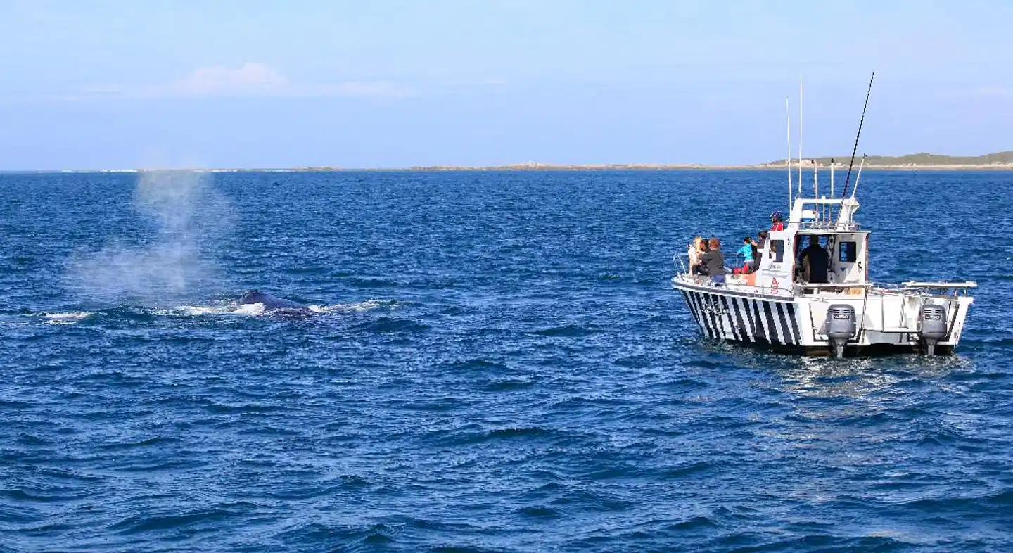 Cape St Francis Beach Break Landschaft