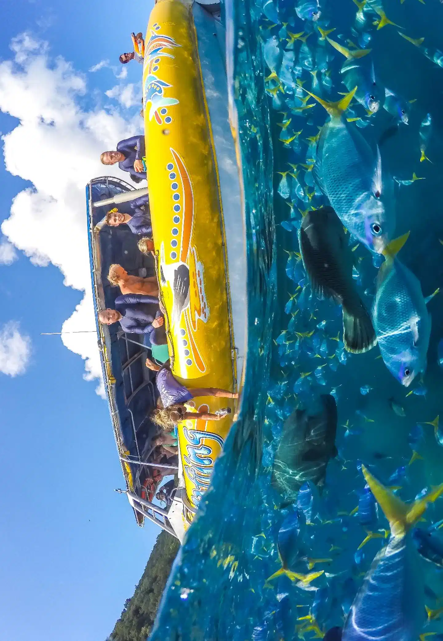 at Marina Shores Sport und Entertainment