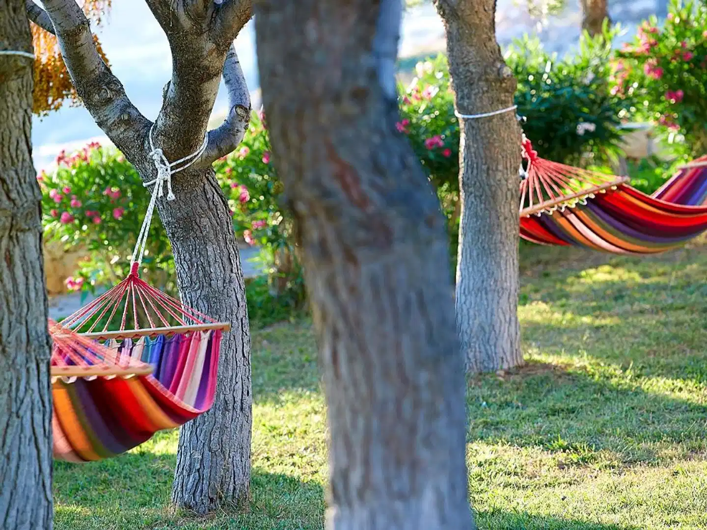 Aroma Creta Sport und Entertainment