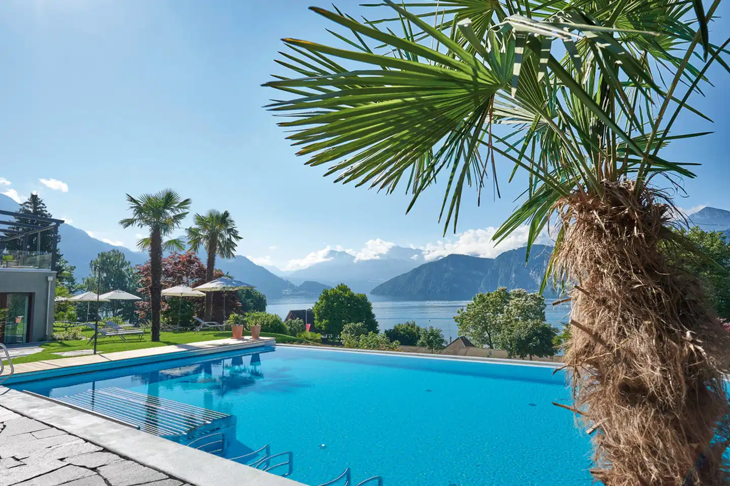 Hotel Alexander Pool