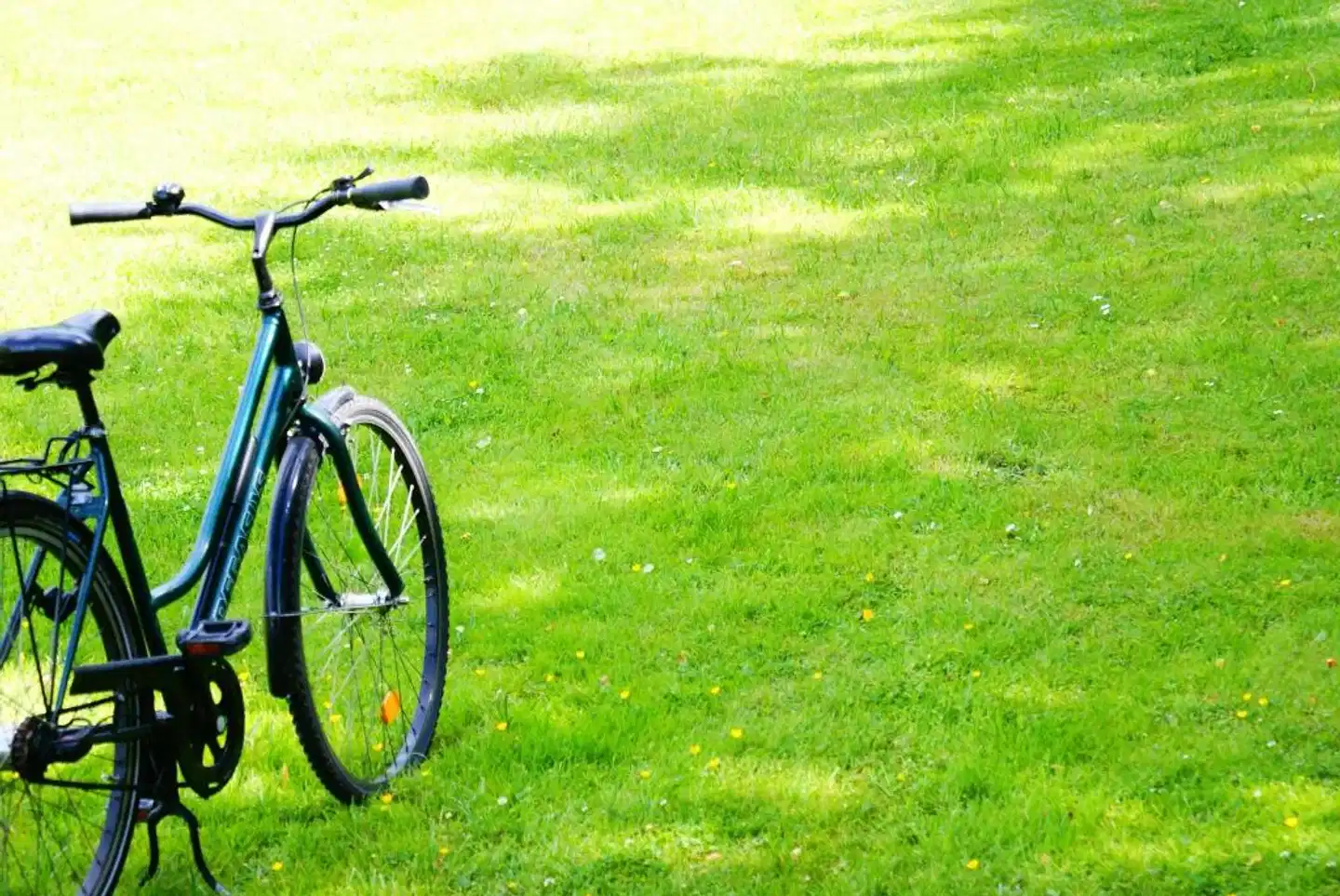 Adina Apartment Hotel Copenhagen Sport und Entertainment