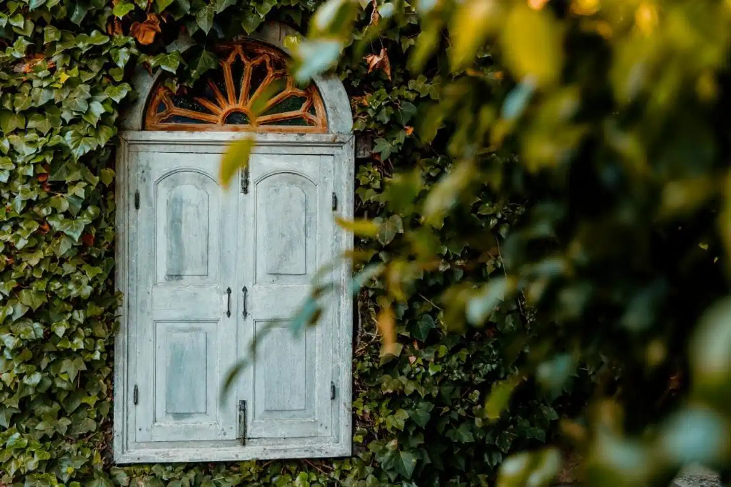 Swiss Moraira Garten