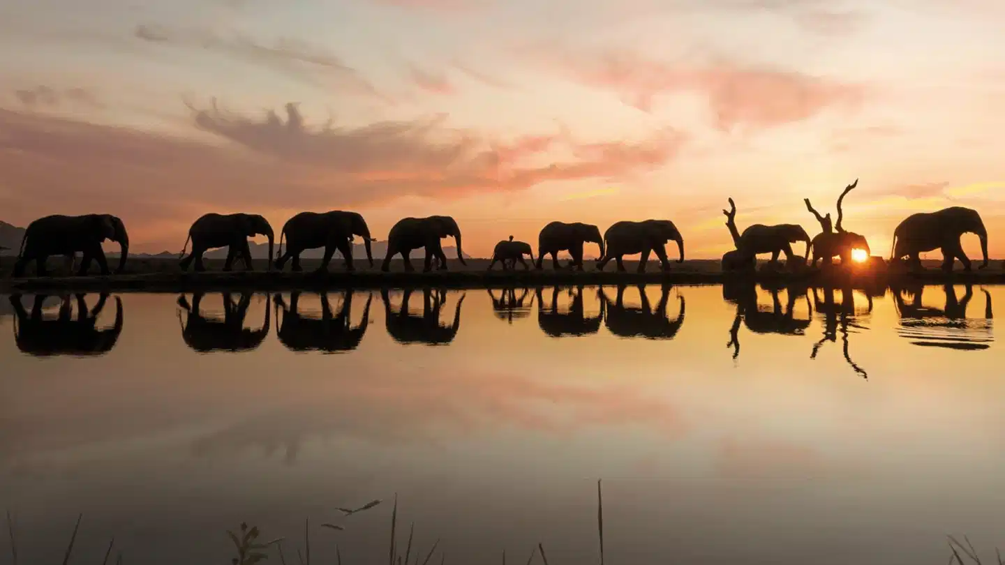 Jabulani Safari Sport und Entertainment