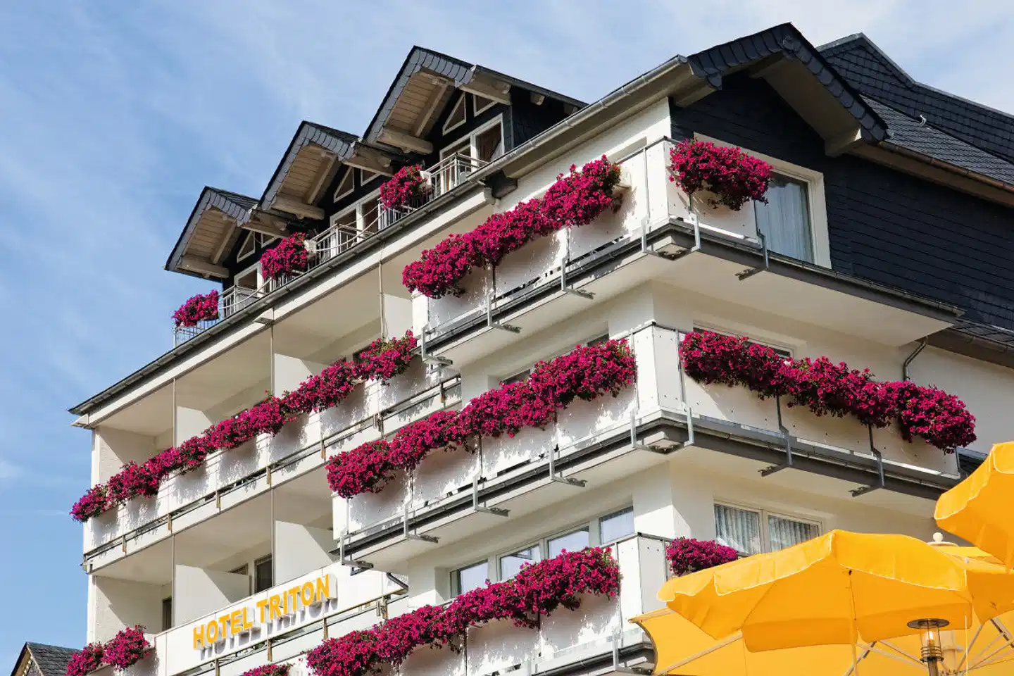 Moselstern Hotel Brixiade & Triton Cochem Aussenansicht