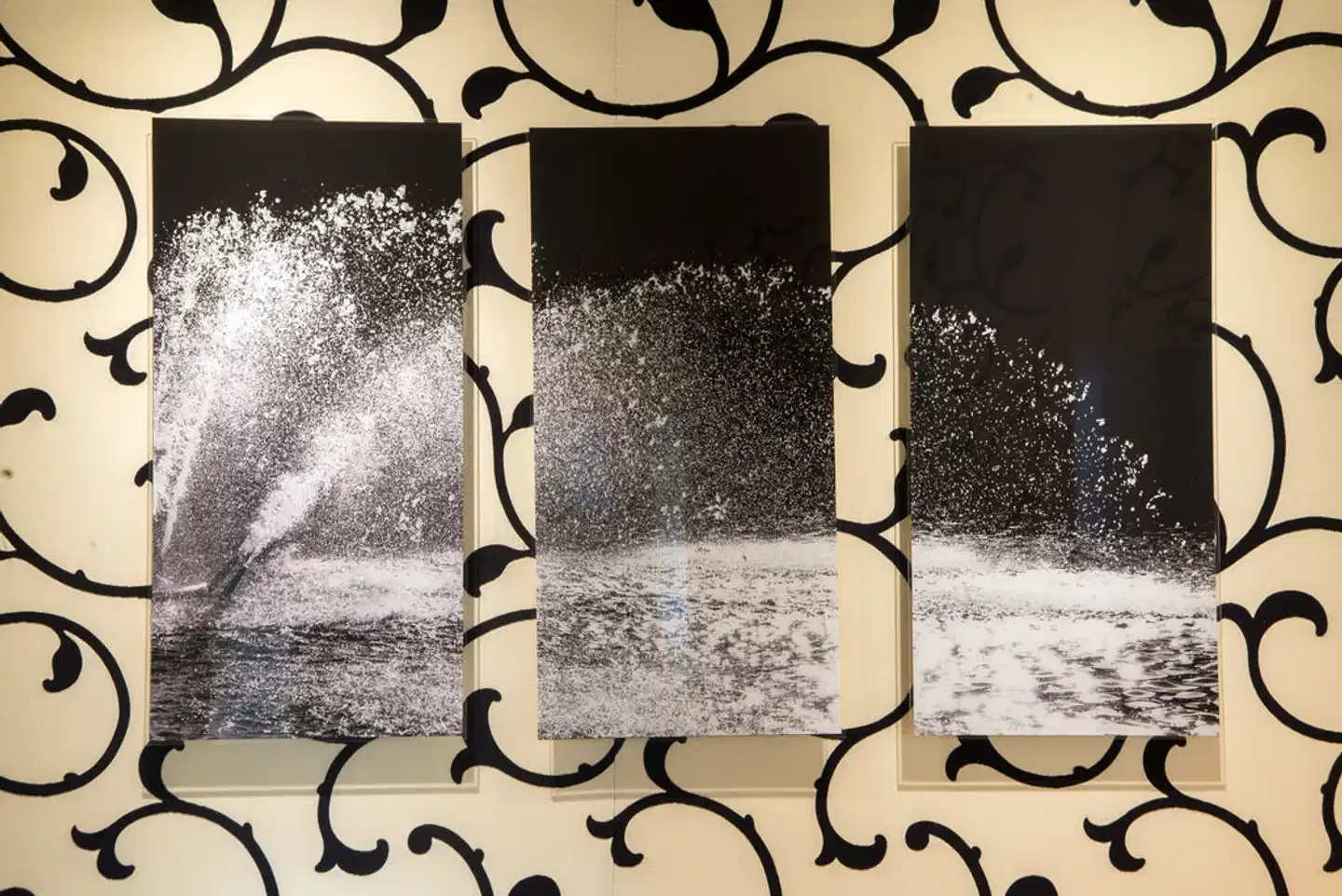 Etoile Park Hotel Tiere