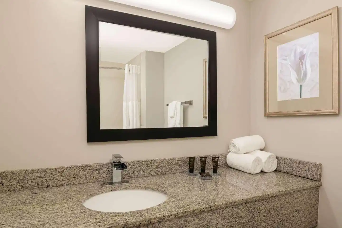 Wingate by Wyndham Atlanta Galleria/Ballpark Badezimmer