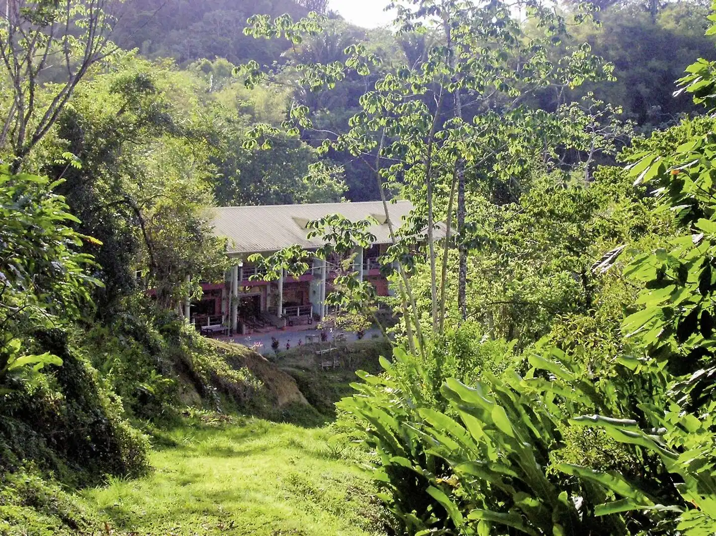 Cuffie River Nature Retreat Landschaft