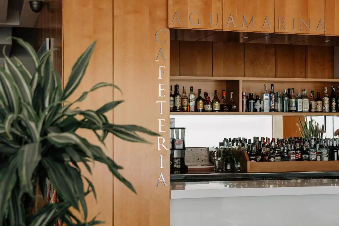 Hotel Suites del Mar by Melia Lobby