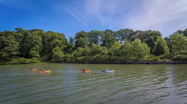 Fota Island Sport und Entertainment