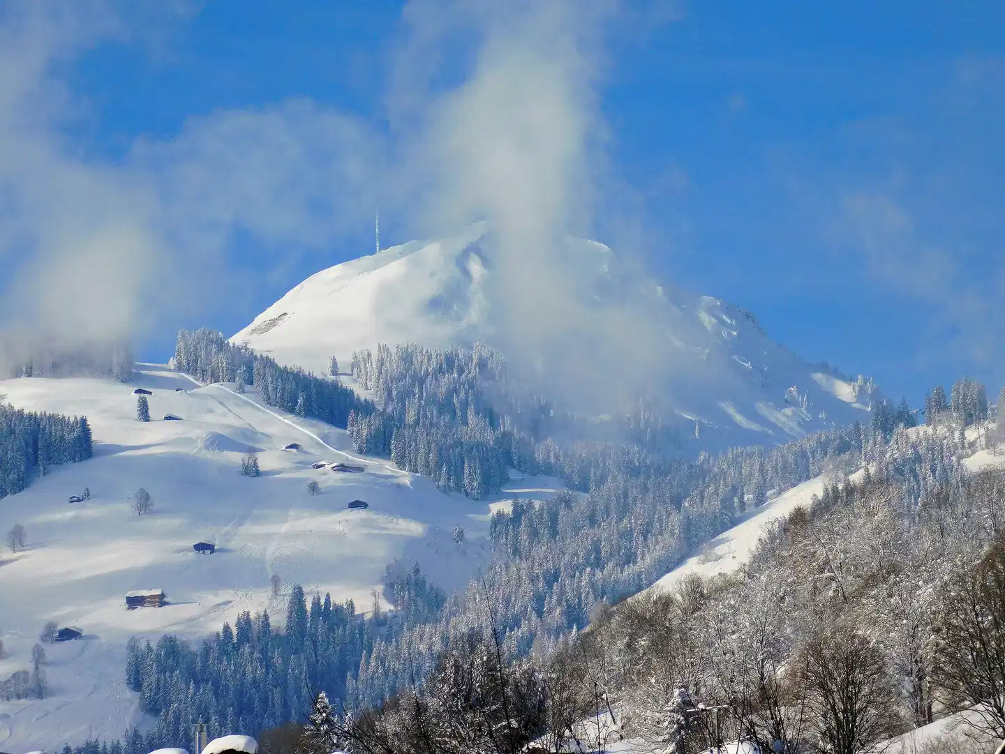Vital & Sporthotel Brixen Landschaft