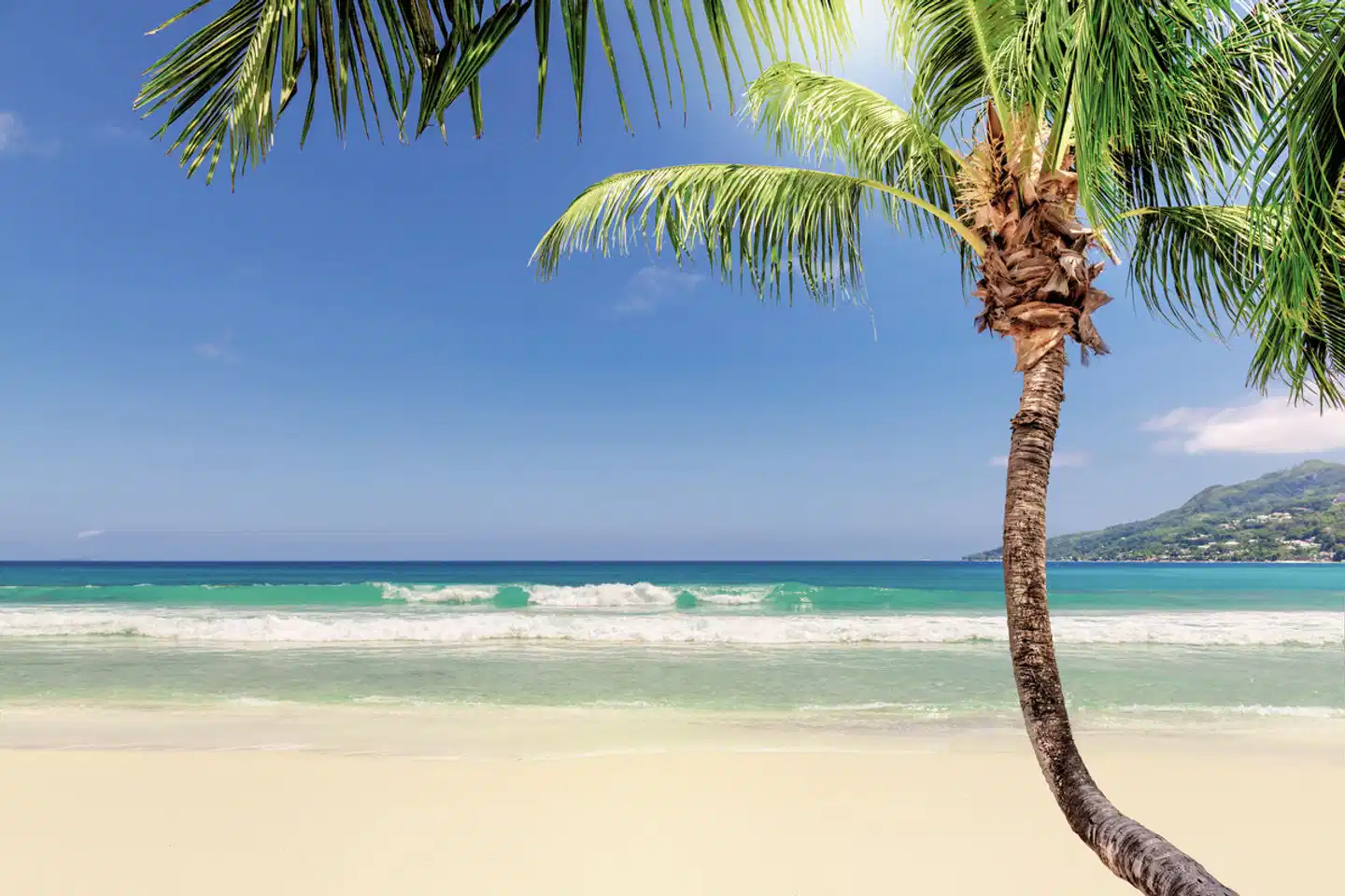 Reggae, Rum und Me(h)er Strand