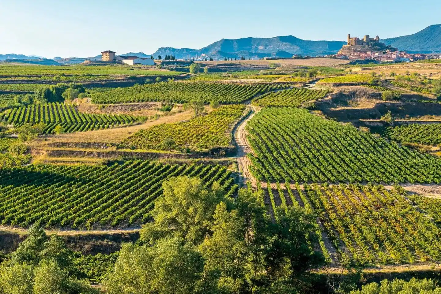 Nordspaniens Magie: Vom urbanen Bilbao zu den Weinträumen La Riojas Landschaft