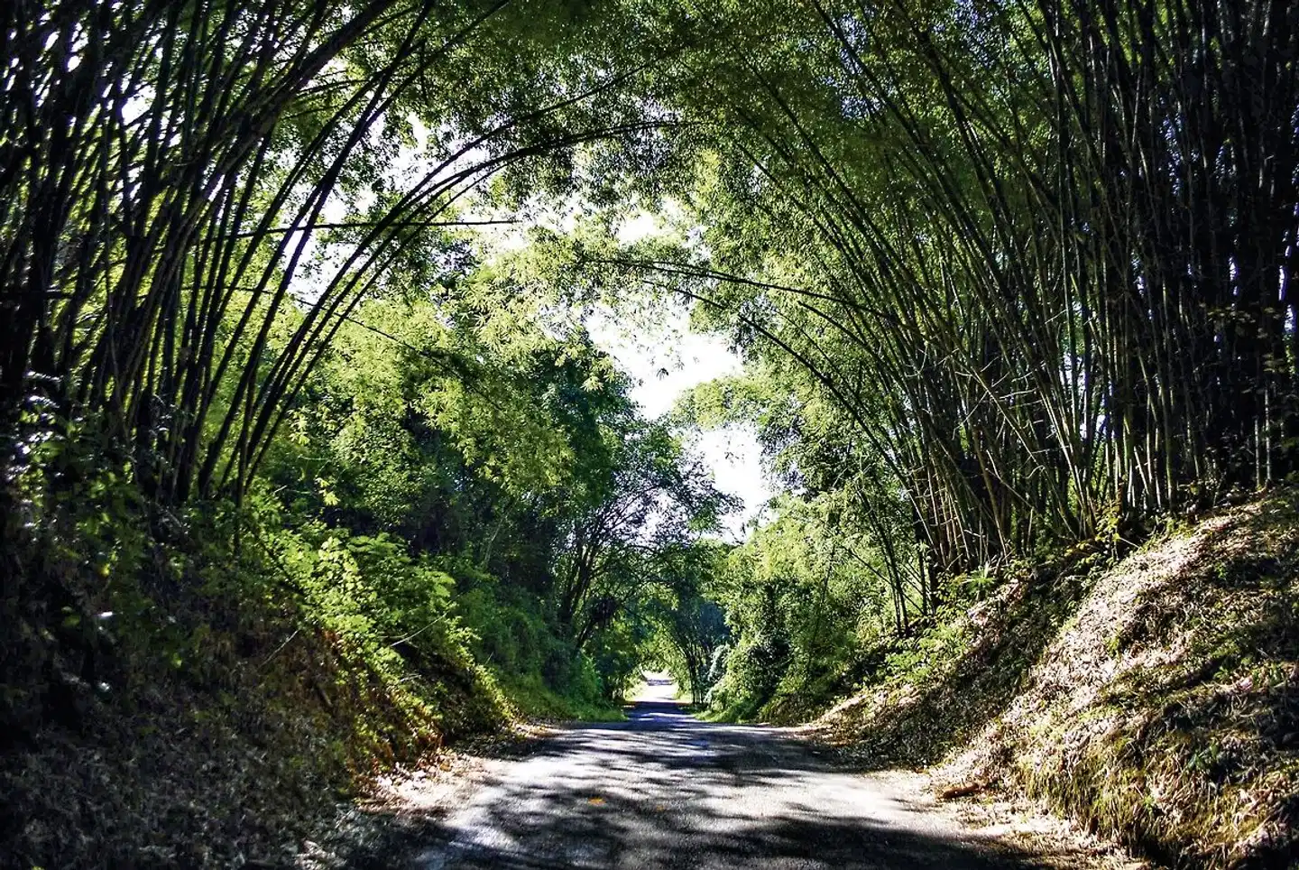 Cool Runnings Landschaft