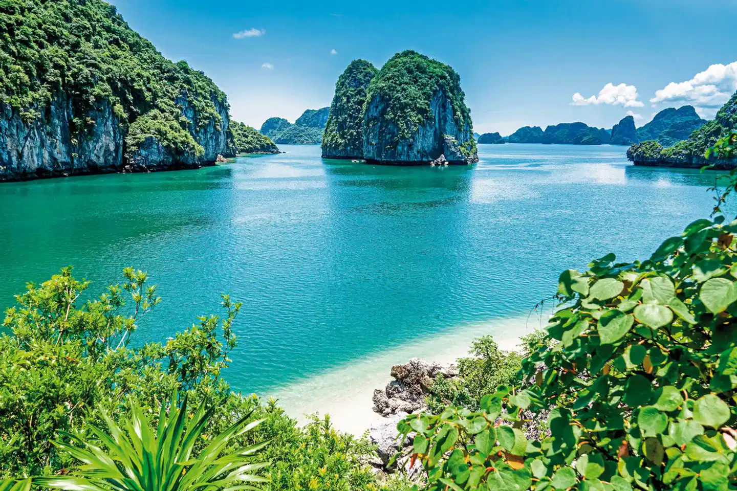 Vietnam hautnah erleben (Gruppenreise) Landschaft