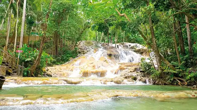 Cool Runnings Landschaft