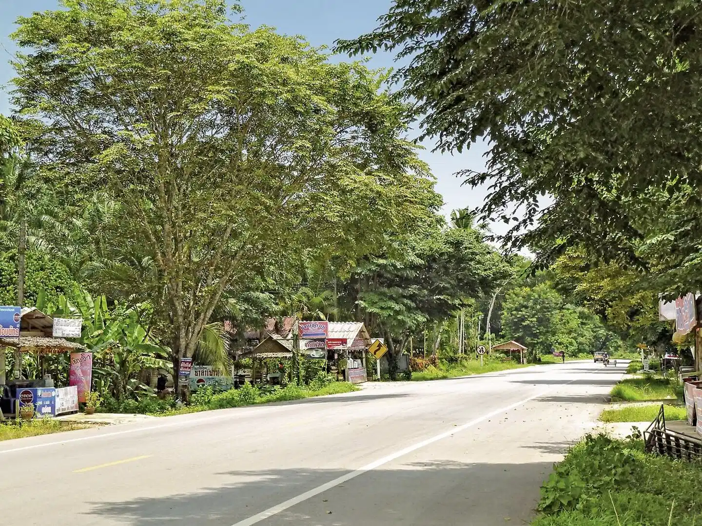 Nordthailand auf 4 Rädern Garten