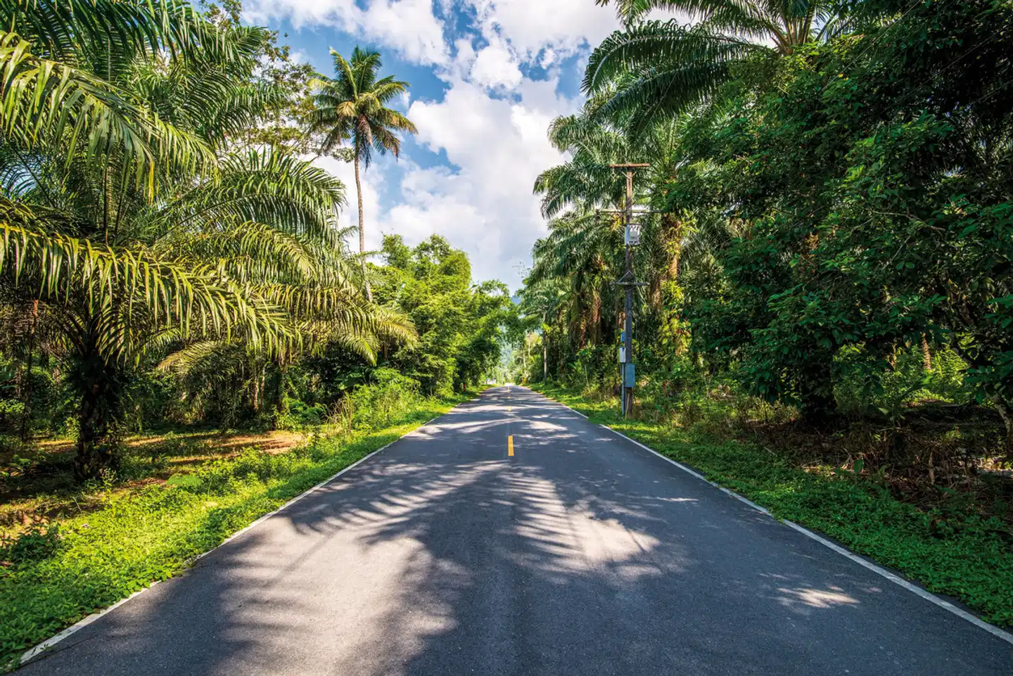 Nordthailand auf 4 Rädern Landschaft