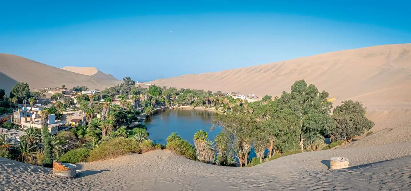 Wüste und Weingüter Landschaft