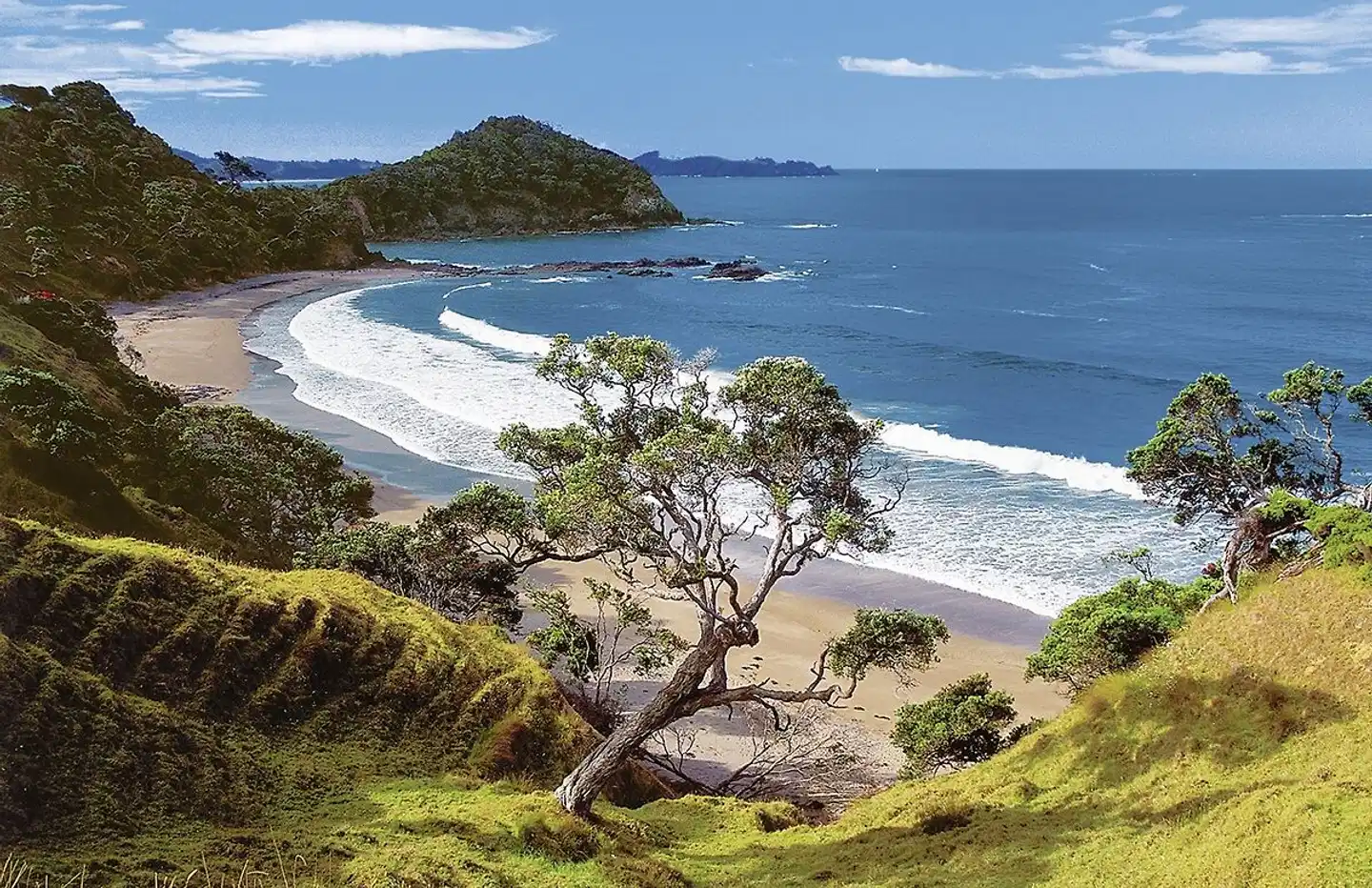 Neuseeland auf eigene Faust (Auckland-Christchurch) Landschaft
