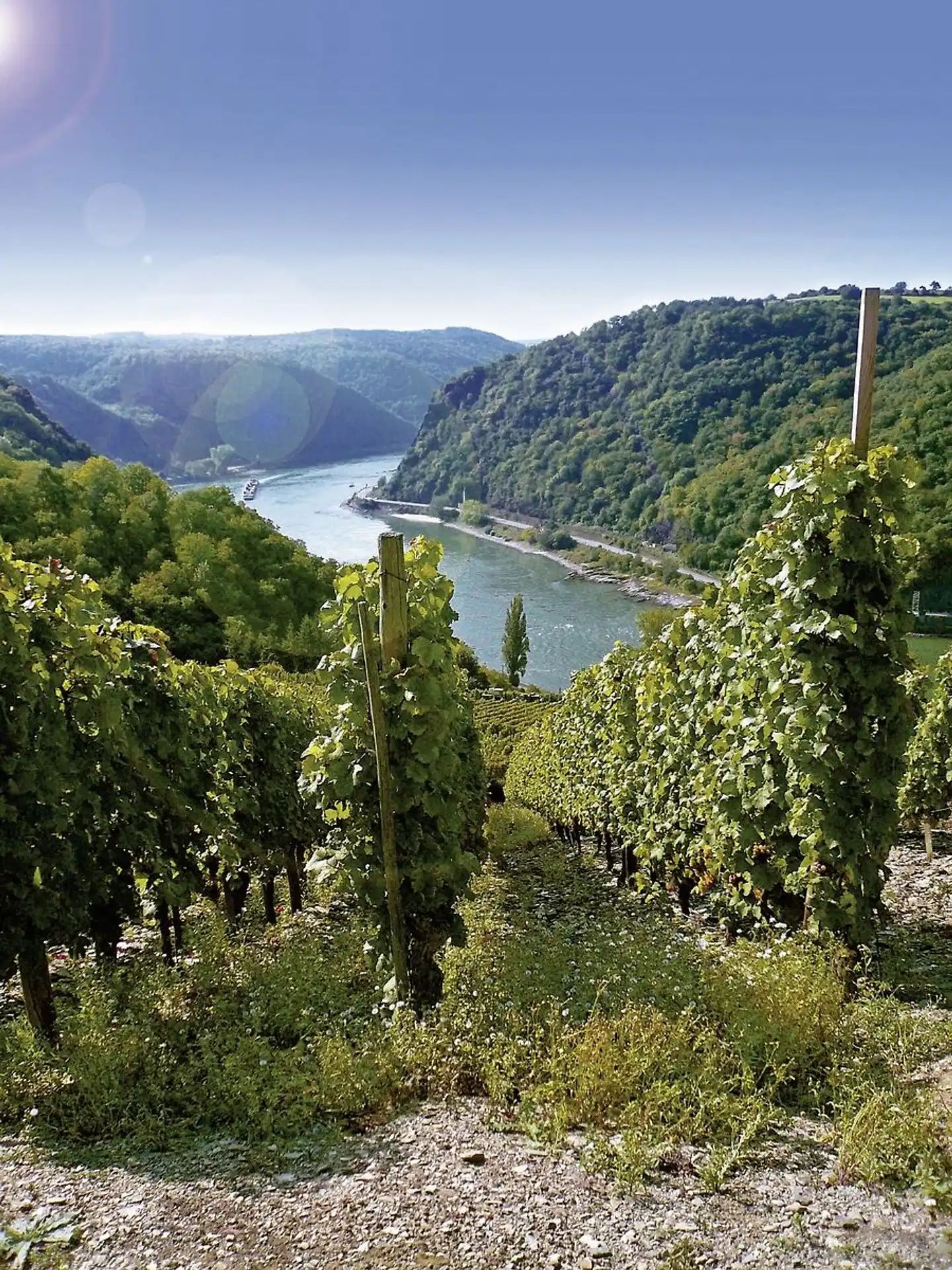Lahnradweg und Loreley Landschaft