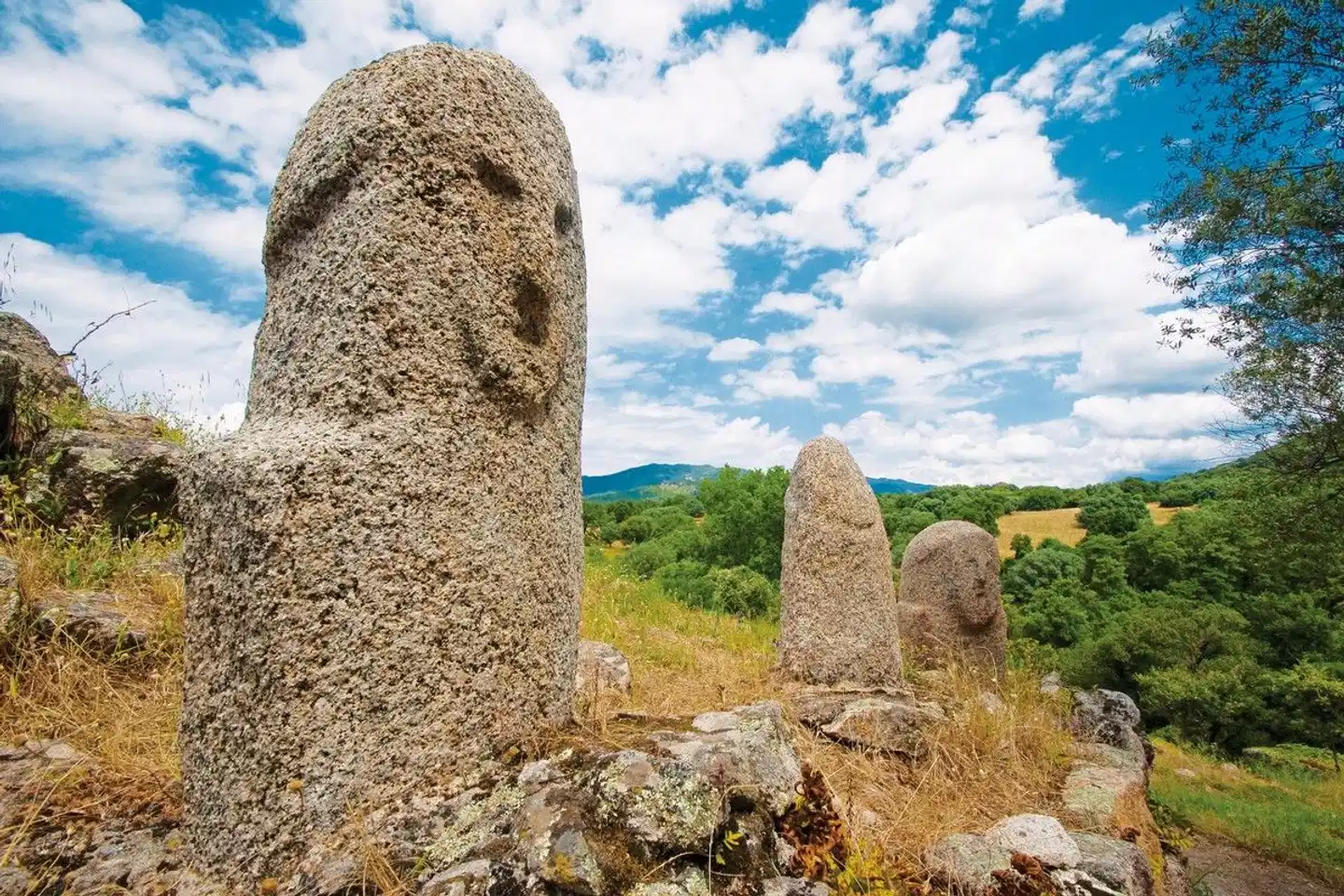 Korsika - ein Gebirge im Meer Tiere