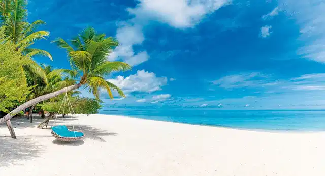Tierisches Badevergnügen Strand
