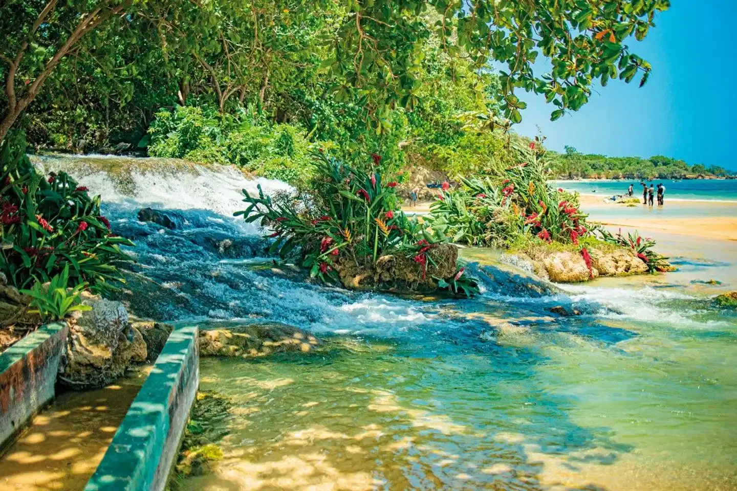 Auf der Jagd nach dem schönsten Strand Garten