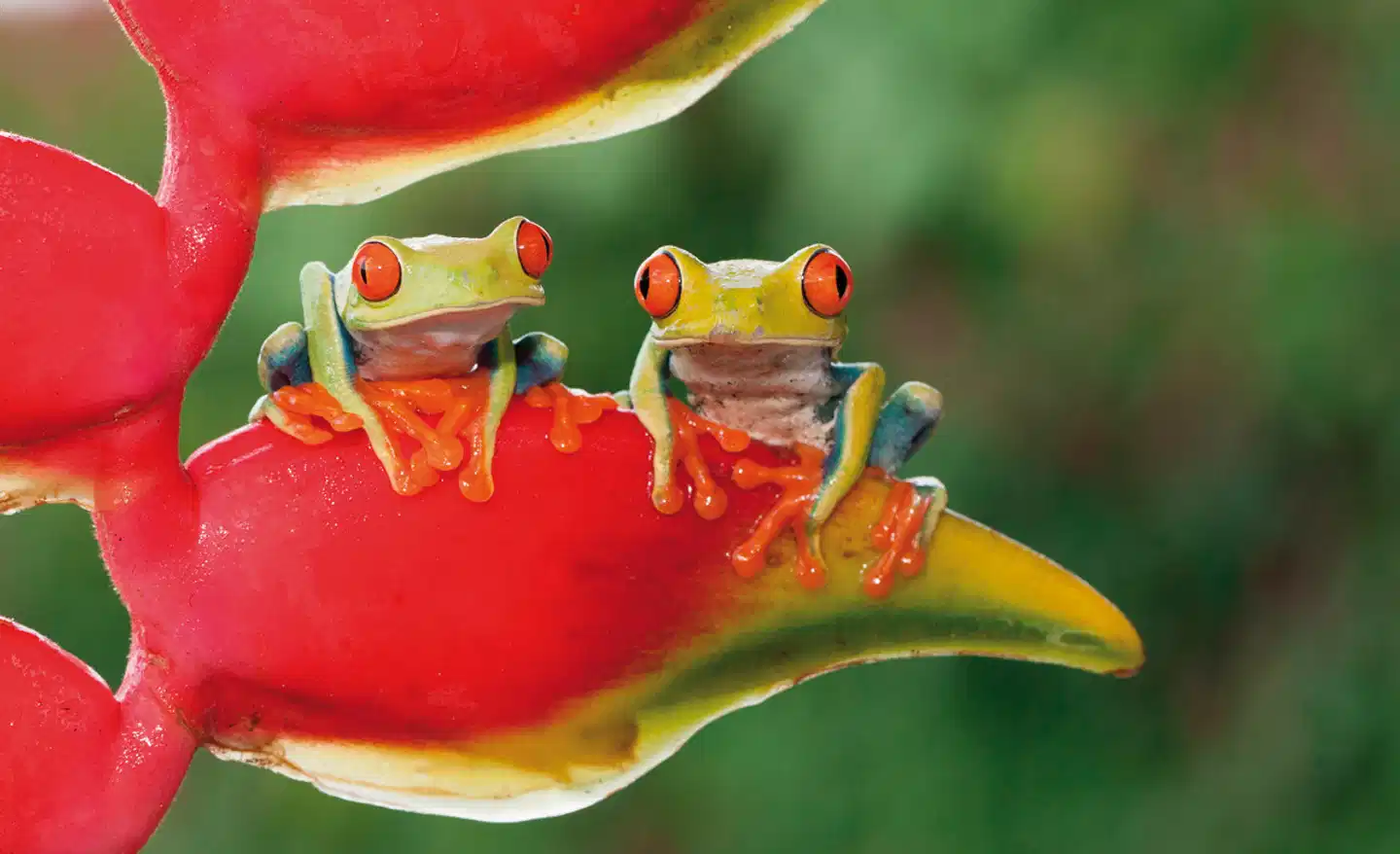 Nationalpark Cahuita Sport und Entertainment